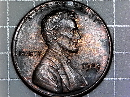 1983-Philadelphia-LMC-Could-This-Be-A-New-Variety,-DDR