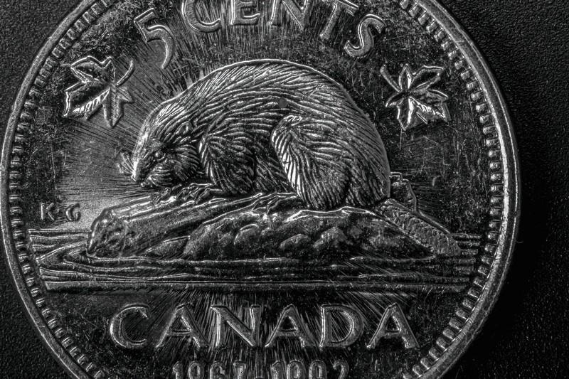 1992-Nickel---Radial-Lines-Cartwheels?-Is-It-An-Error?