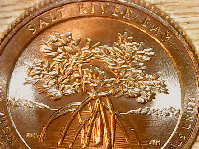 2020-Salt-River-Bay-Broken-Letters-On-Reverse.what-Is-This-Call