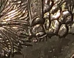 2008-D-Arizona-State-Quarter-Error.