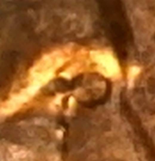 Help!-2nd-2015-Lincoln-Coin-With-A-Similar-Blob-Now-At-The-Eye!!