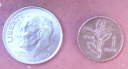 Post-Your-Tiny-Coins!