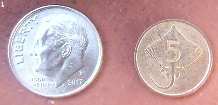 Post-Your-Tiny-Coins!
