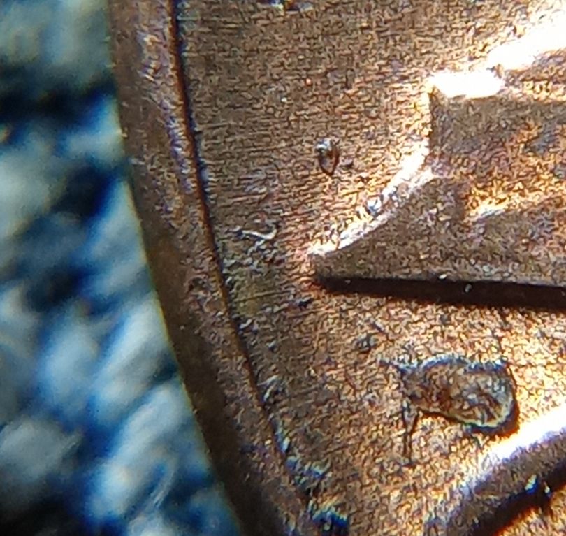 1983-D-1MM-002-Research-Was-Fruitful?