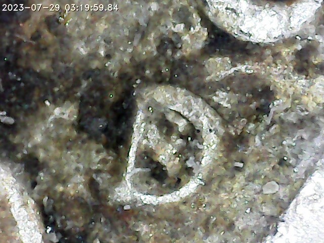 1986-D/S-Nickel?-What-Else-Would-This-Be