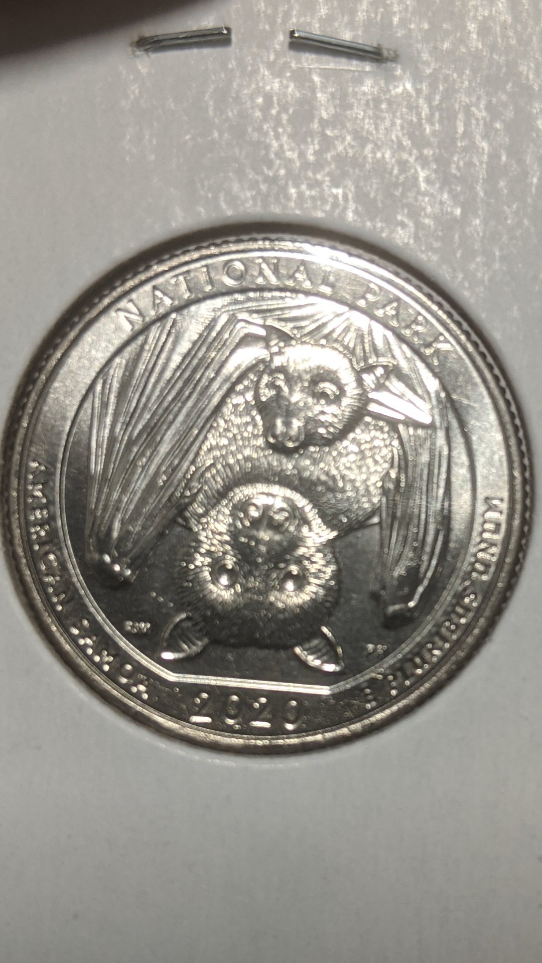 I'm-Trying-To-Find-Info-On-2020-S-Quarters