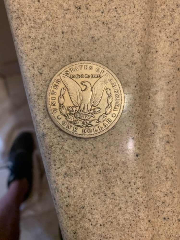 Need-Help--1899-O-Morgan-Dollar-VAM?-Error-Die-Spikes