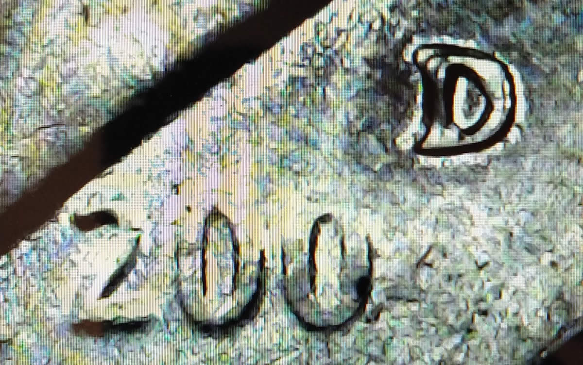 200?-D-Roosevelt-Dime-Rmp?-Rest-Of-The-Date?