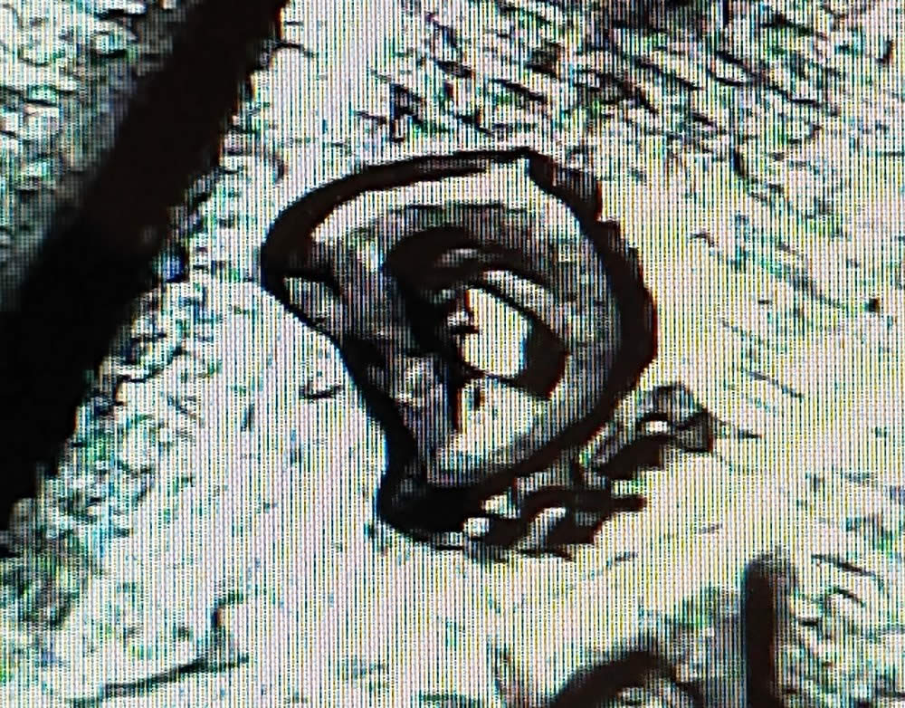 1997-D-Roosevelt-Dime-Die-Break/Cud-Or-Just-Smashed?