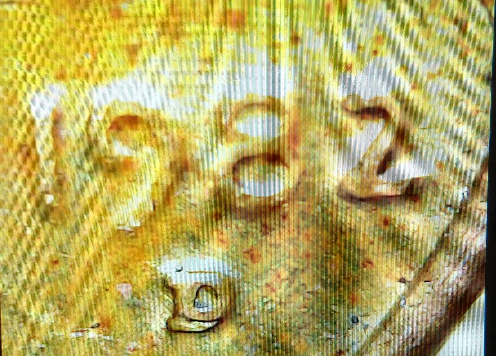 1982-D-Lincoln-Copper-Cent-D-Over-D-And-Strike-Through?
