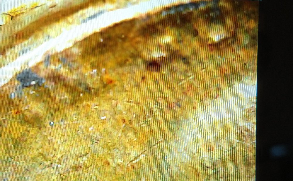 1982-D-Lincoln-Copper-Cent-D-Over-D-And-Strike-Through?
