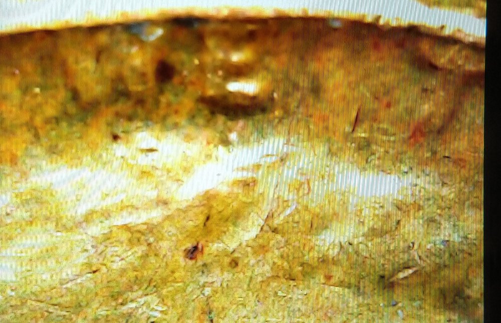 1982-D-Lincoln-Copper-Cent-D-Over-D-And-Strike-Through?