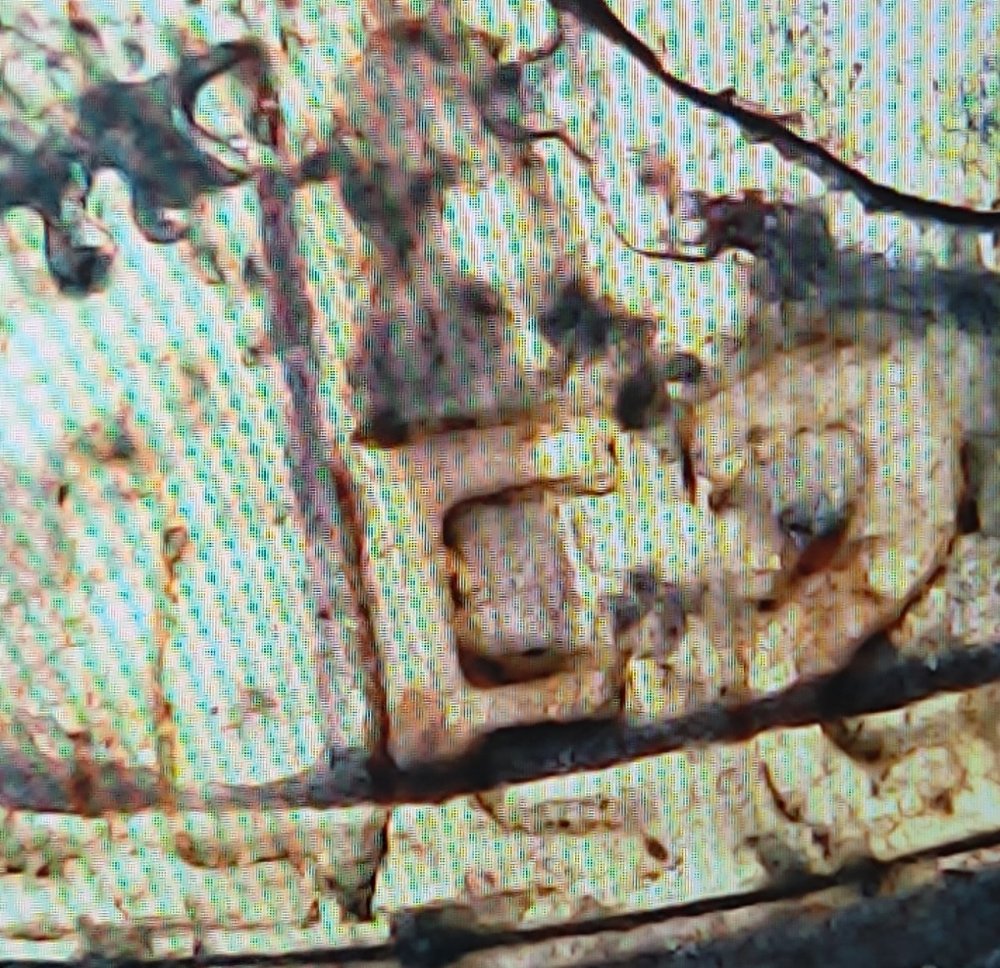 2018-D-Lincoln-Cent-Fake-Error