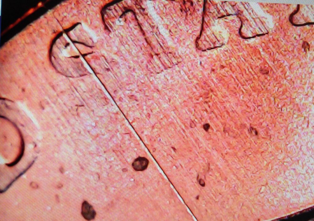 2019-D-Lincoln-Cent-More-Grease-Strike-Through,-Annnnnd........-Same-Roll