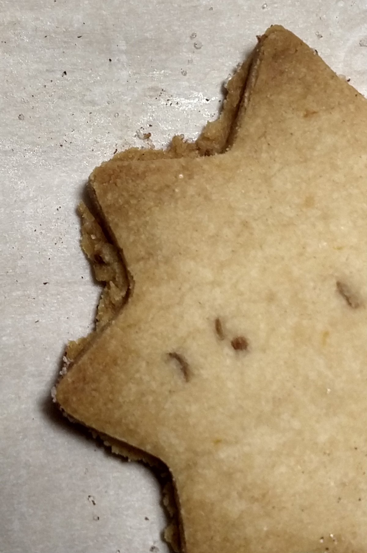 2019-Proof-Major-Doubling,-New-Discovery!