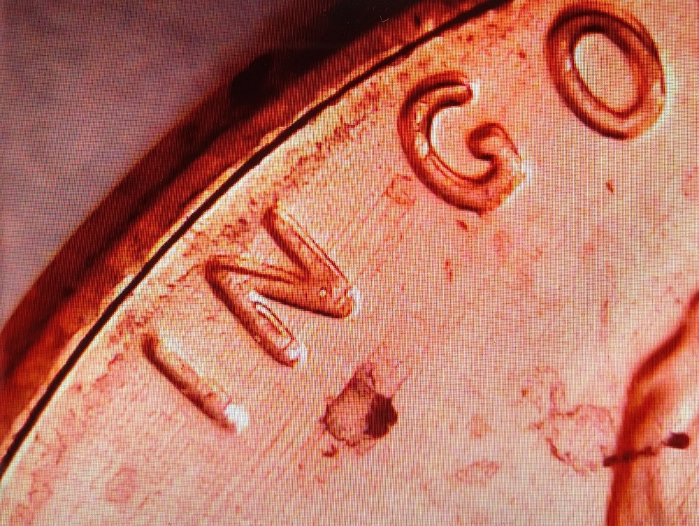 2019-D-LMC-Double-Die-Obverse
