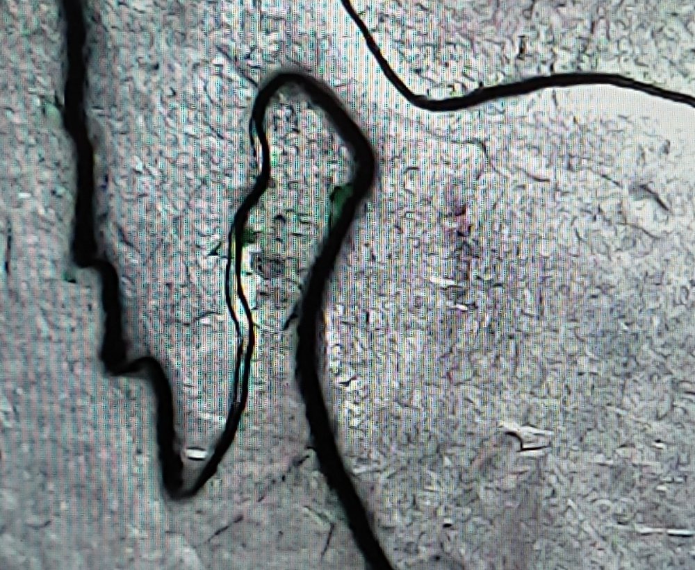 2007-Wyoming-Quarter-DD?