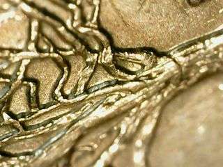 1999-D-Connecticut-State-Quarter..