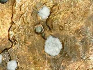 1994-P-Lincoln-Cent-Cud-And-I-Have-No-Clue-Error.