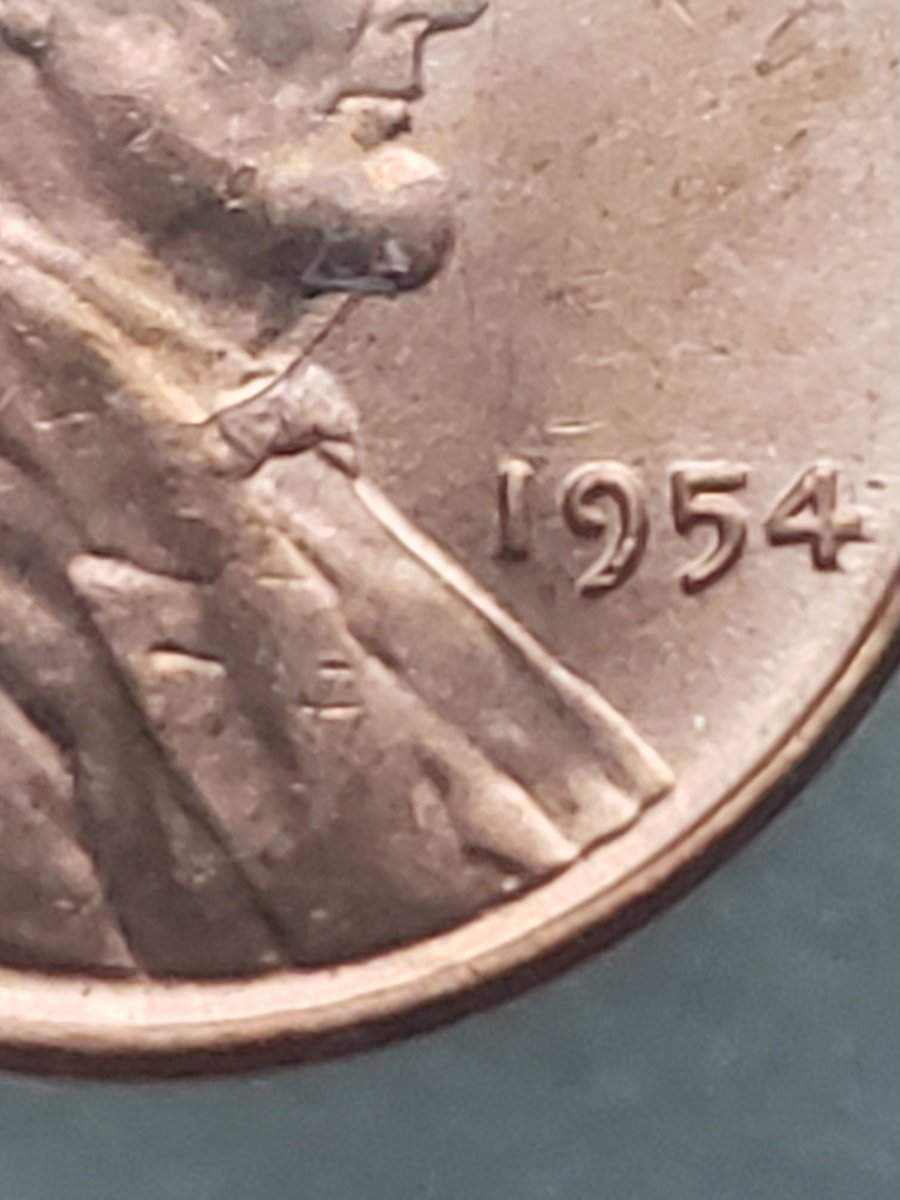 1954-P-LWC-Need-Help-With-Error-Identification