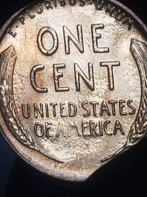 1955-S-LWC-Proof-Like-Surfaces?