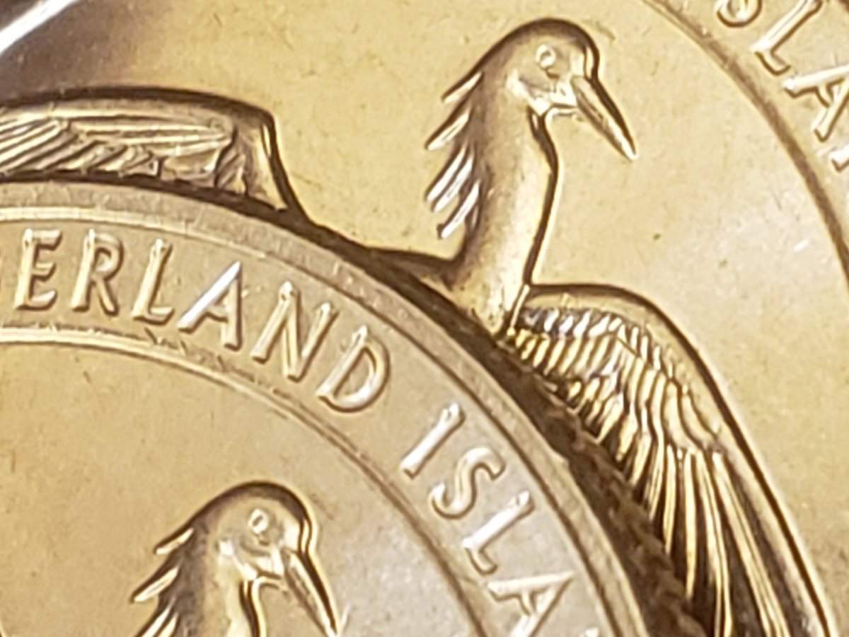 2018-D-Cumberland-Island-DDR?