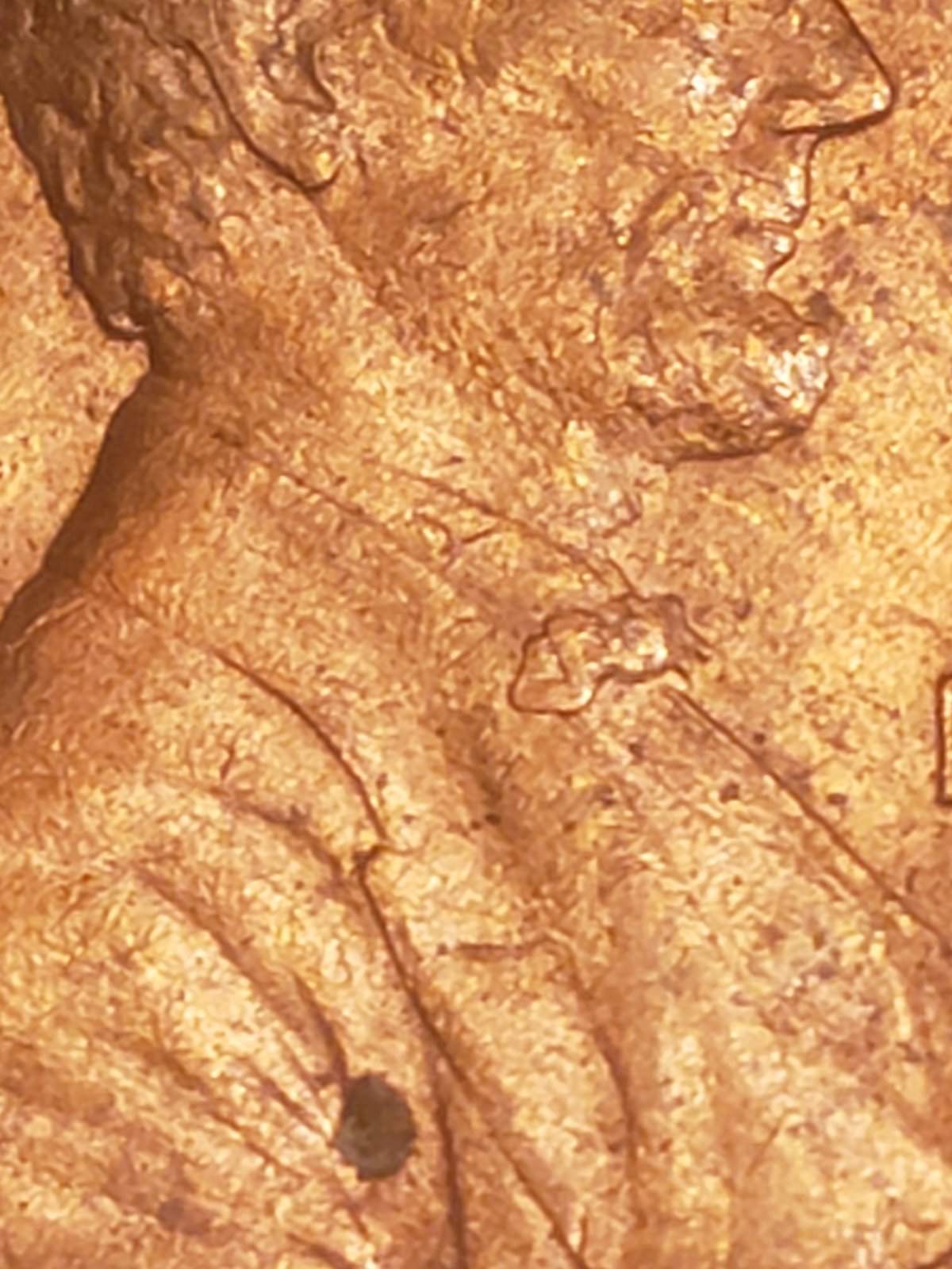1989-Lincoln-Double-Struck-And-Doubled-Die?