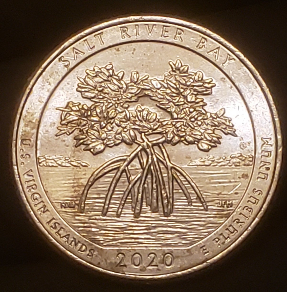 2020-P-Salt-River-Bay-Rim-To-Rim-Die-Break?