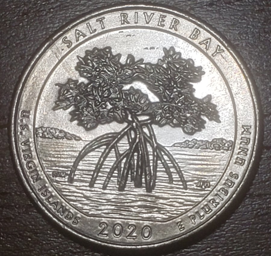 2020-Salt-River-Bay-Struck-Through-Fibers