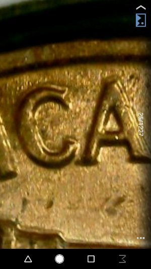 Could-Someone-Post-A-Close-Up-Picture-Of-