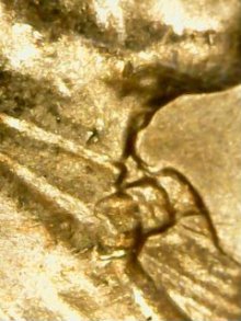 Anyone-Have-A-Side-By-Side-Picture-Of-A-Wheat-Penny-Doubled-Eyelid-Vs-Regular?
