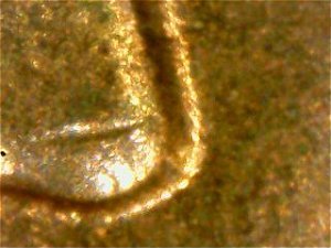 1954-D-LWC-RPM-Has-More-Interesting--Finds