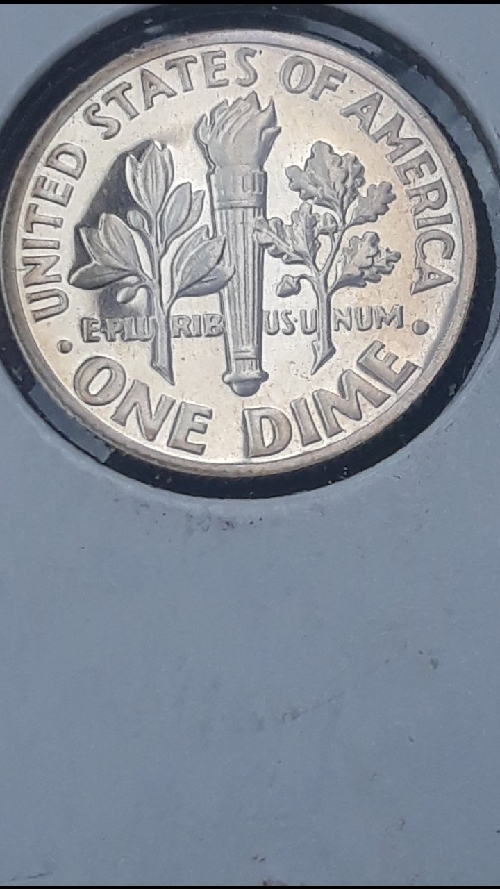 1970-S-Proof-Roosevelt-Dime-Possible-DDO-DDR?-What-Are-Your-Thoughts?