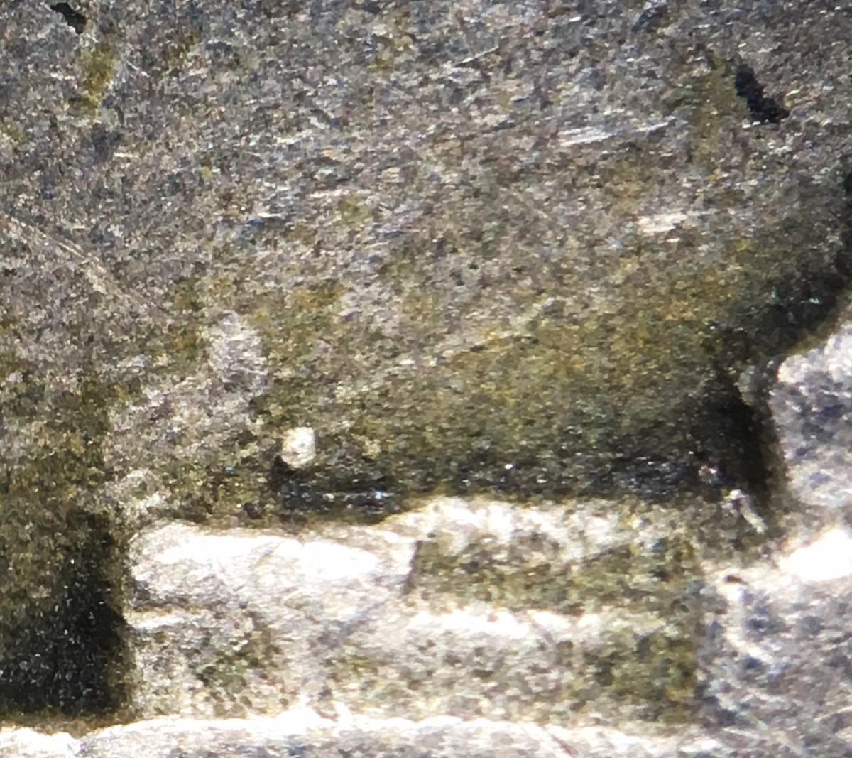 Possible-Henning-Nickel-Found
