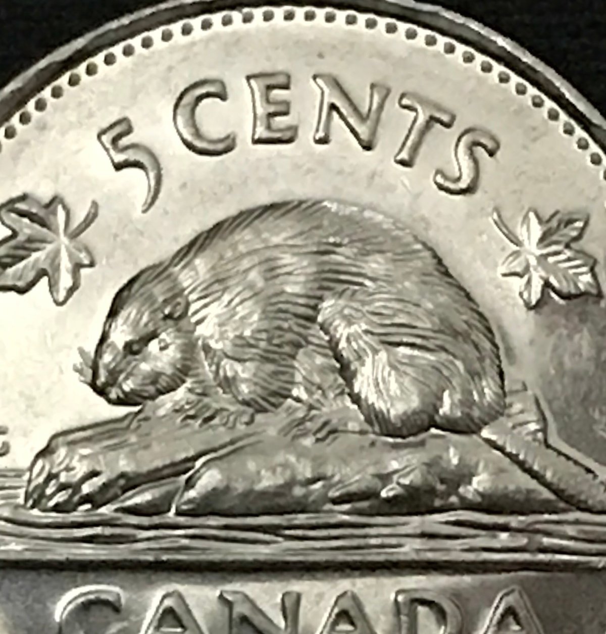 2006-Canadian-5-Cents-Double-Die-Rev