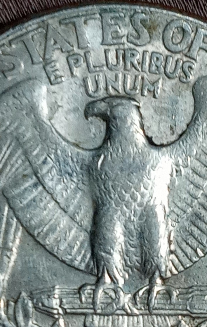1998-Quarter,-Missing-Hair-And-Something-With-His-Eye,-Also-The-Bird-Has-Blob