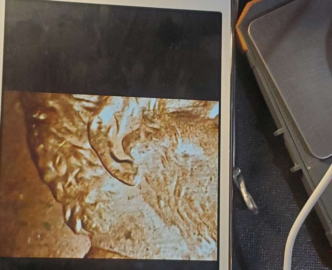 1997-P-Double-Ear-Lincoln-Cent?