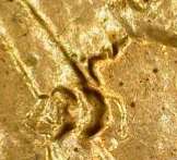 Ok,-I-Found-A-Pretty-Crazy-1983-D-Lincoln-Cent