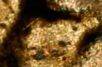 1989-D-Cent-Doubled-Lower-Ear-Lobe.