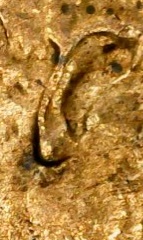 1983-D-Lincoln-Cent-Doubled-Ear.