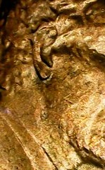1983-D-Lincoln-Cent-Doubled-Ear.