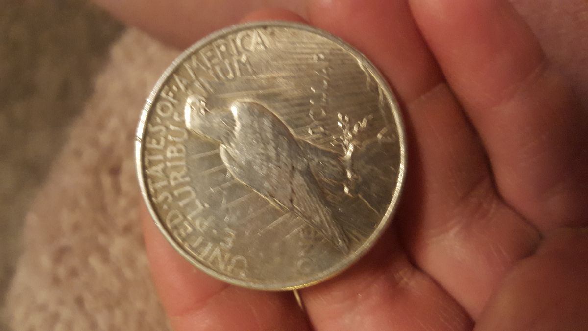 Please-Help-Identify