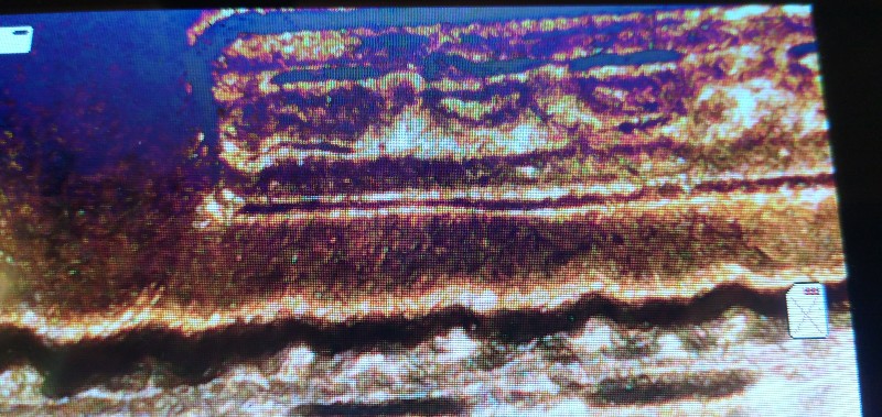 Floating-Roof-Penny-Questions