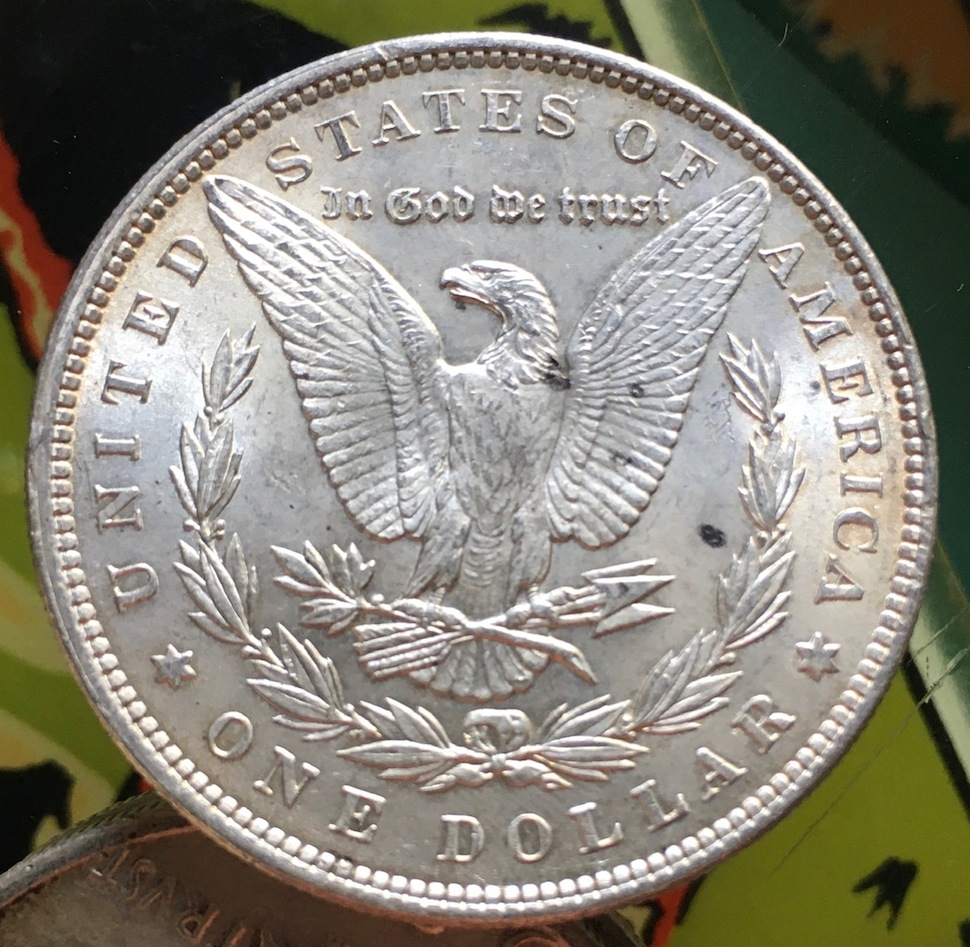 Need-Opinion---Morgan-Coin-14:-Some-Discoloration-And-Black-Spots...-Grade?