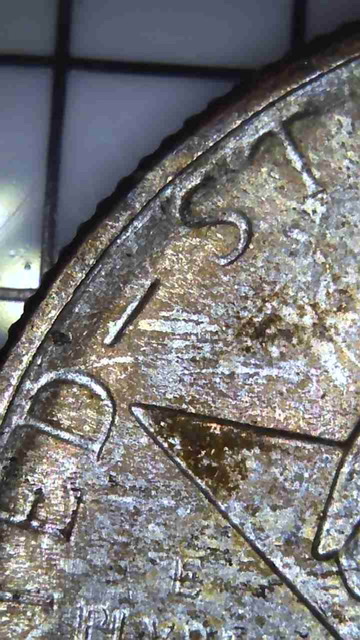1936-Texas-Centennial-Half-Dollar-For-Grading