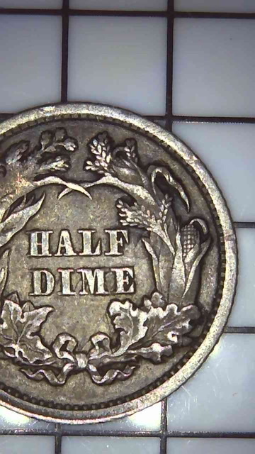 Seated-Liberty-Half-Dime-For-Grading