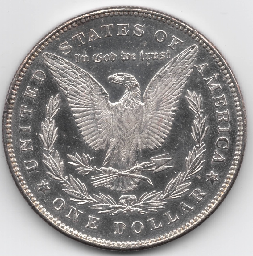 1878-Morgan-For-Grading-Before-I-Ship-Her-Off-To-PCGS