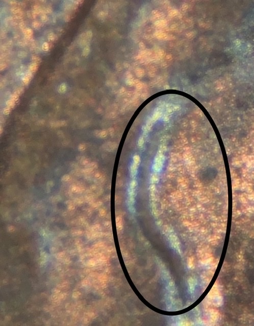 1997-Lincoln-Memorial-Cent.-Ufo.