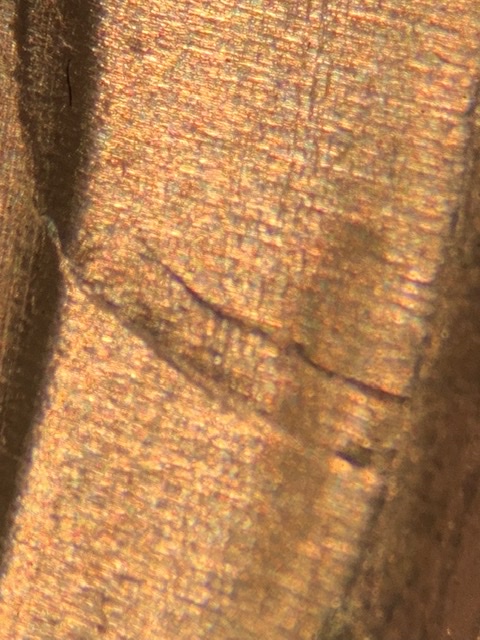 2017-D-Lincoln-Shield-Cent.-Cud-?
