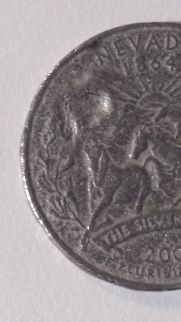 2006-Nevada-State-Error?-Or...?